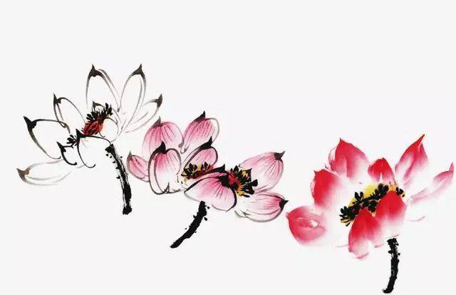 怎么画荷花？水墨画荷花绘画技法详解_搜狐网
