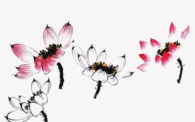 楚如画 荷花圖 2b9b78e774a849efa9adaa5ba42359
