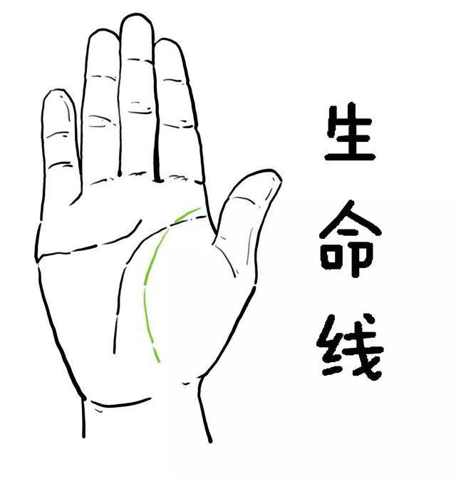 中国股市:三条均线定乾坤,一条生命线,一条决策线,一条趋势线