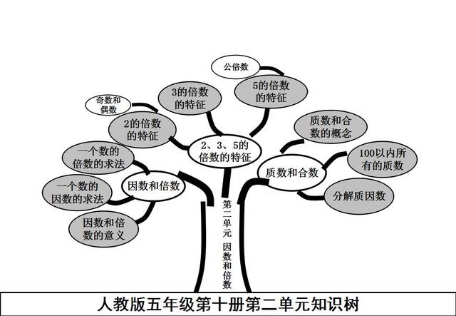 寒假预习:小学五年级数学下册思维导图知识树,一篇就搞定!