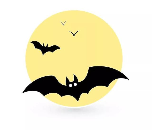 通过建筑看古人对蝙蝠多么敬畏!