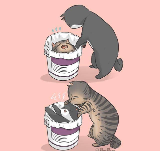 超萌可爱猫咪插画,吸猫猫治愈系(漫画插画)