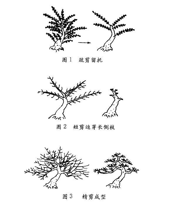 一寸三弯手绘图片