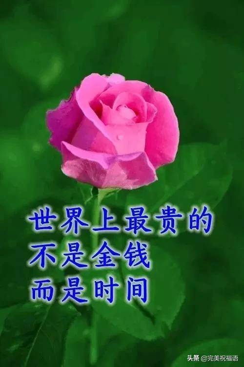 祝你天天好运气的图片,好运气图片带字的图,祝好运的图片_大山谷图库
