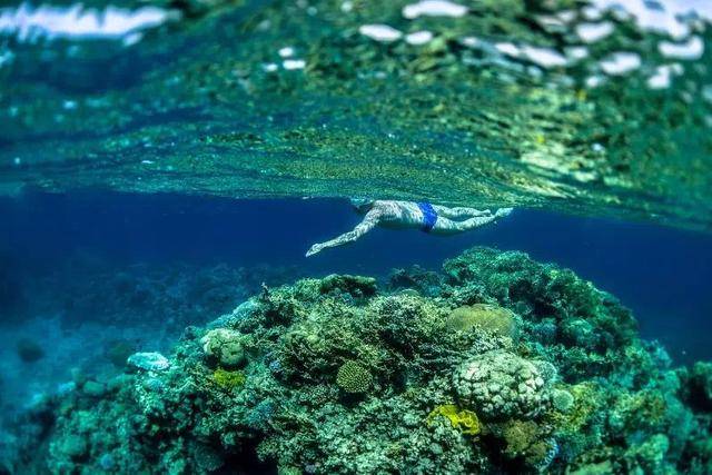 约旦有名的除了死海漂浮, 海底景观也是世界级的.