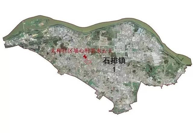 石排镇各村地图图片