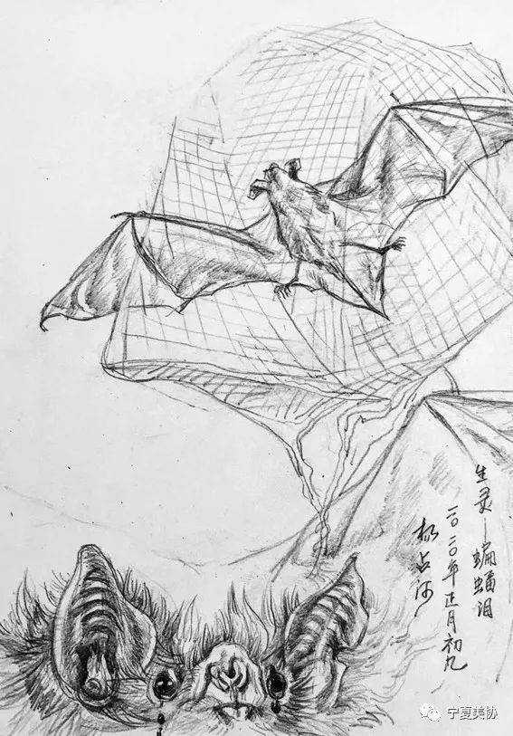 《生灵——蝙蝠泪》杨占河