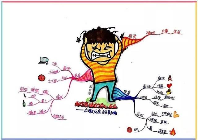 应激反应的影响