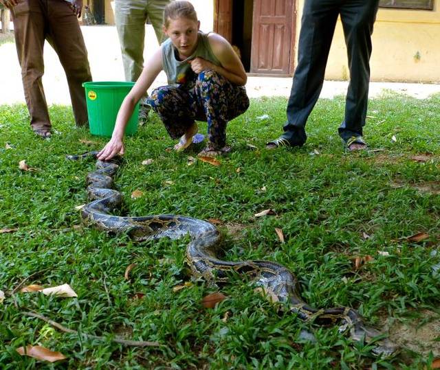 蛇身超过了两米长,最后在当地人的建议下他们还是选择了将其放归大自