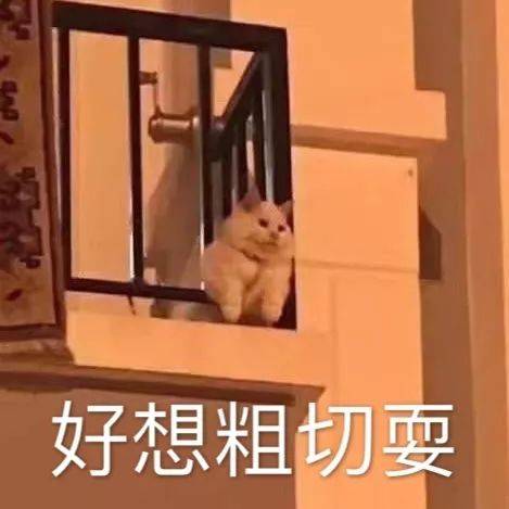 好想出去玩 好响出去丸(部分图源网络 表情包鬼火口罩长颈鹿味道