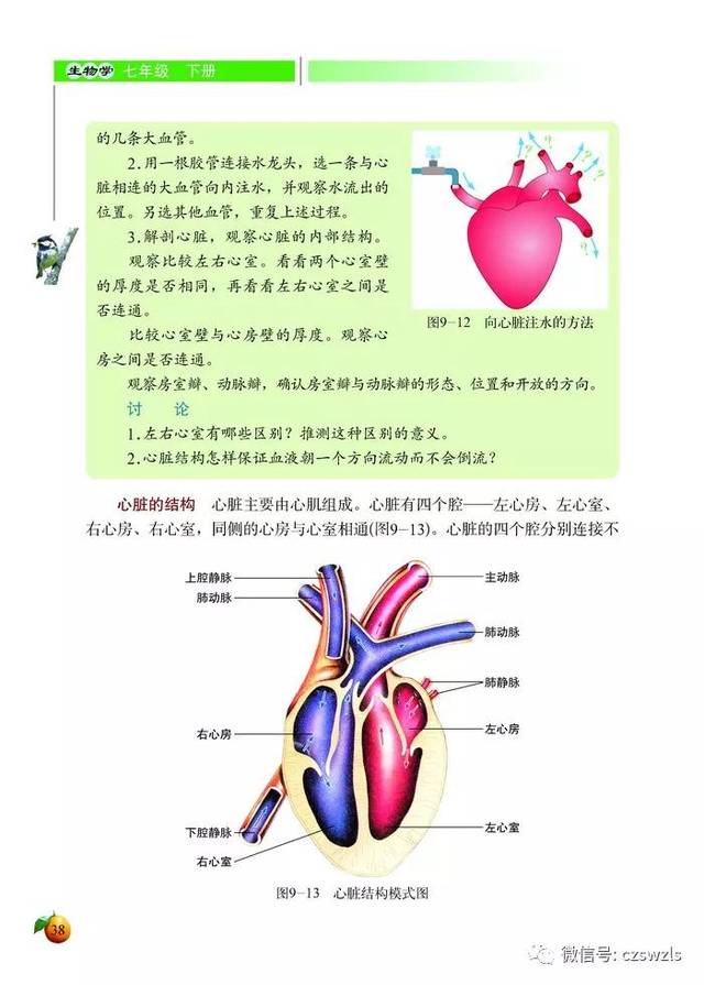 北师大版七年级初一生物下册电子课本