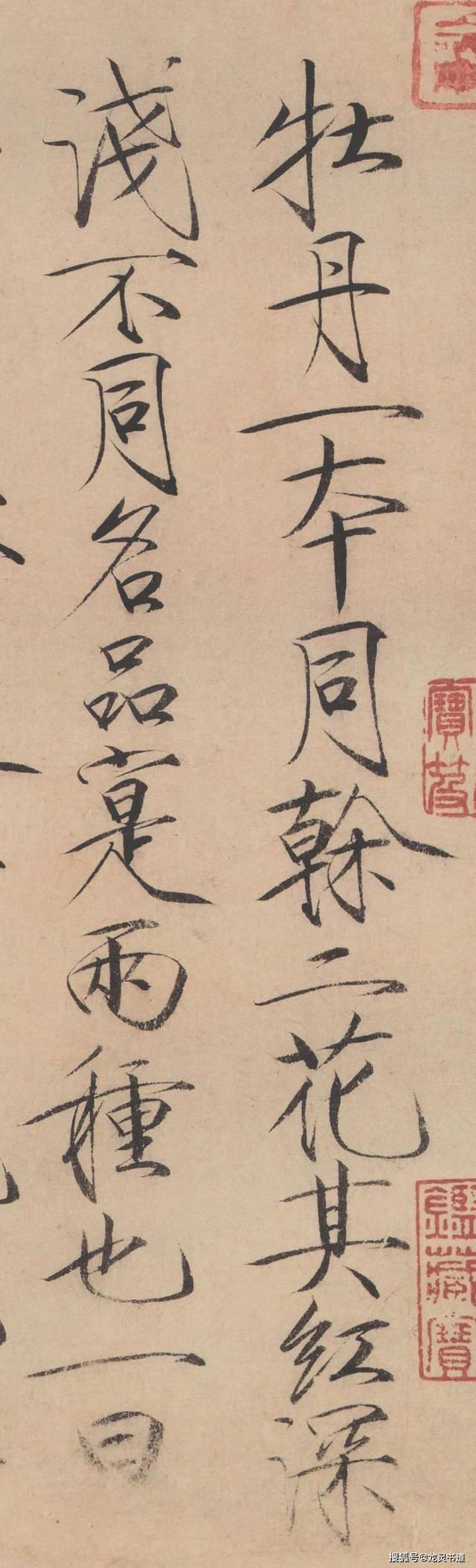 宋徽宗瘦金体《书牡丹诗》如屈铁断金,天骨遒美,逸趣霭然