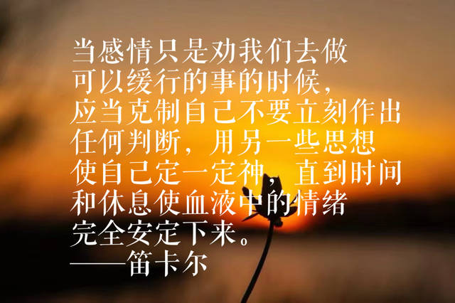 原创我思故我在,竟是哲学巨匠笛卡尔所说,这十句智慧语录,豁然开朗