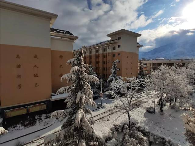 云南曲靖会泽县茚旺高级中学静谧的雪景