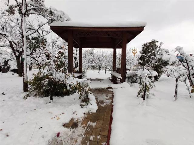 会泽公园雪景图片