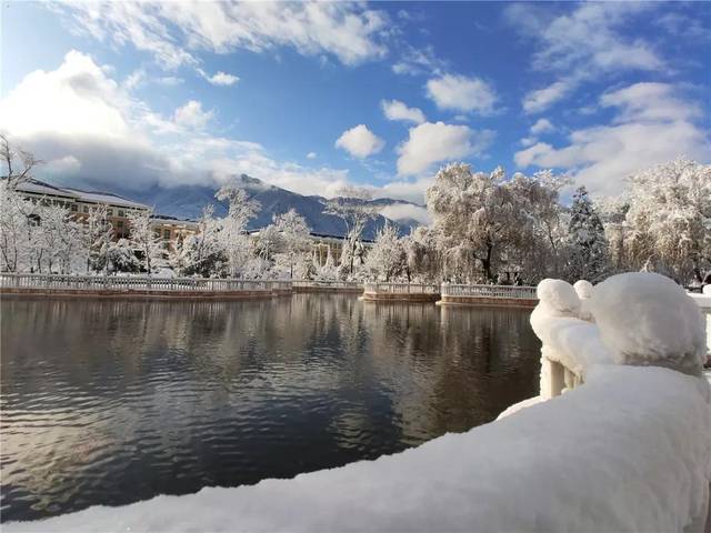 云南曲靖会泽县茚旺高级中学静谧的雪景