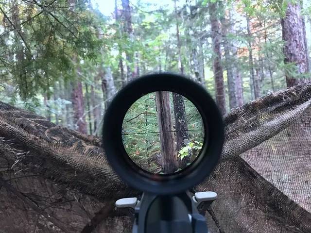 狩猎黑熊使用.300 win mag大口径来复枪,枪和瞄准镜质量都非常好!