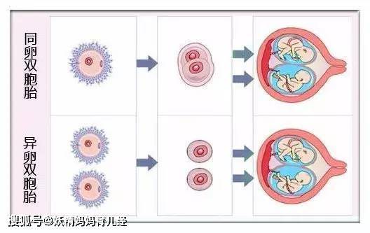 雙胞胎嬰兒血型不一樣,親子鑑定結果出來後,老婆才說出實情