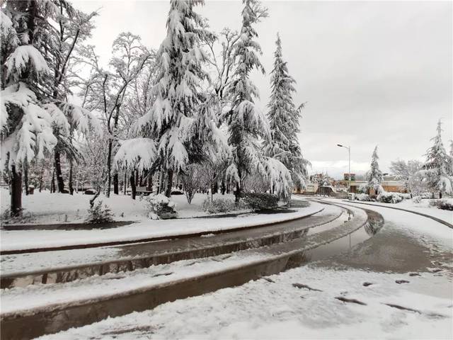 云南曲靖会泽县茚旺高级中学静谧的雪景