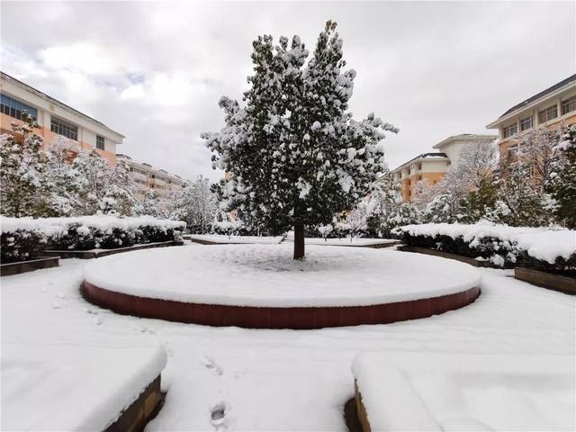 云南曲靖会泽县茚旺高级中学静谧的雪景