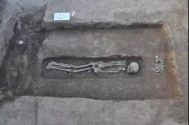 山东省文物考古研究院2019年度田野工作汇报会(上)