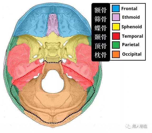 前颅窝中颅窝后颅窝