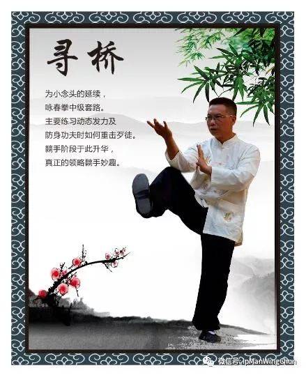 动起来，抗疫情！-（之四）咏春寻桥教程九式。_搜狐网
