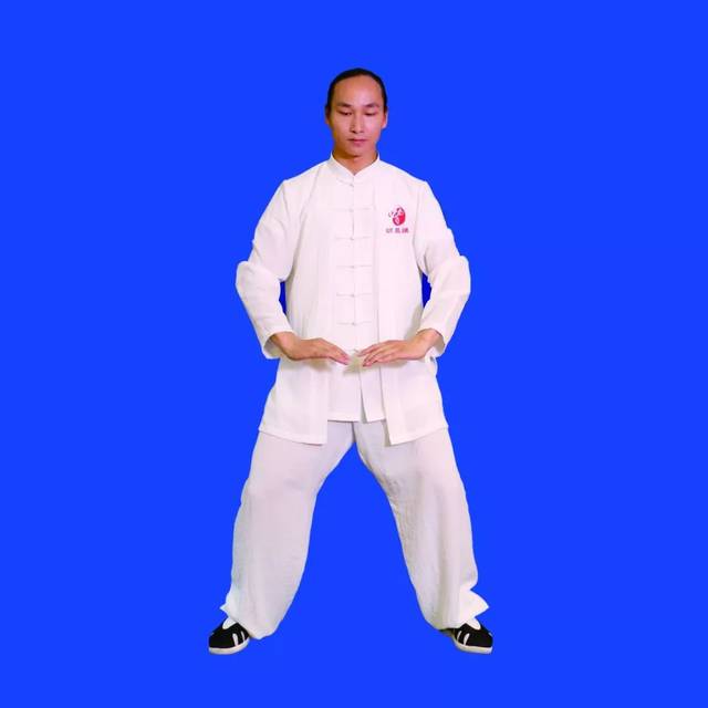 【视频图文详解】强身健体第二波《武当九式太极拳》128图详解