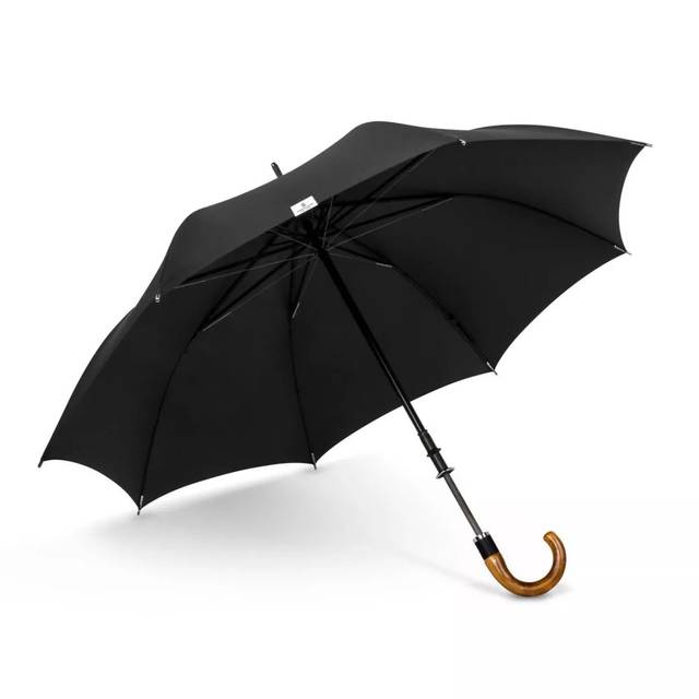 大龄男孩变绅士,你差一把伞