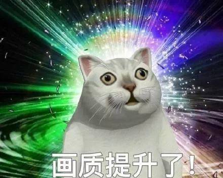沙雕憨憨猫表情包