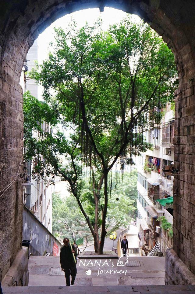 重庆最基本的交通方式——楼梯,每一条楼梯都是有灵魂的