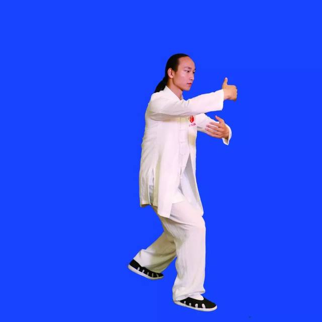 【视频图文详解】强身健体第二波《武当九式太极拳》128图详解