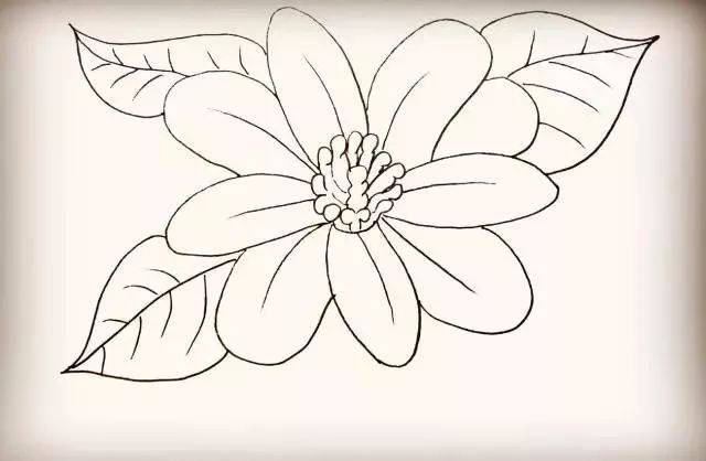 零基础入门,教你超简单的花朵简笔画