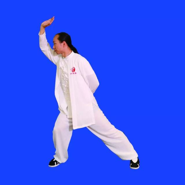 【视频图文详解】强身健体第二波《武当九式太极拳》128图详解