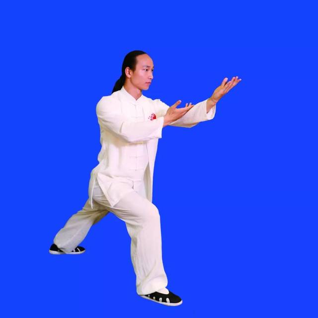 【视频图文详解】强身健体第二波《武当九式太极拳》128图详解