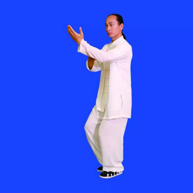 【视频图文详解】强身健体第二波《武当九式太极拳》128图详解