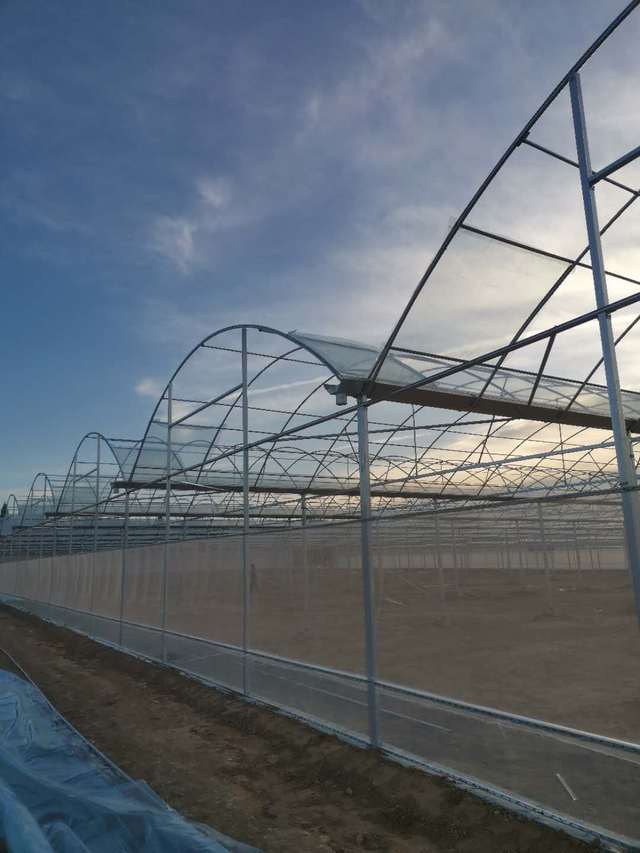 歌珊温室薄膜温室大棚通风口安装防虫网的优缺点分析