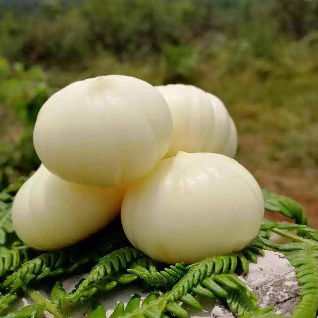 广东开平超顶级金山火蒜!熏制翻搬,独头美味!这个价我觉得可以_手机搜