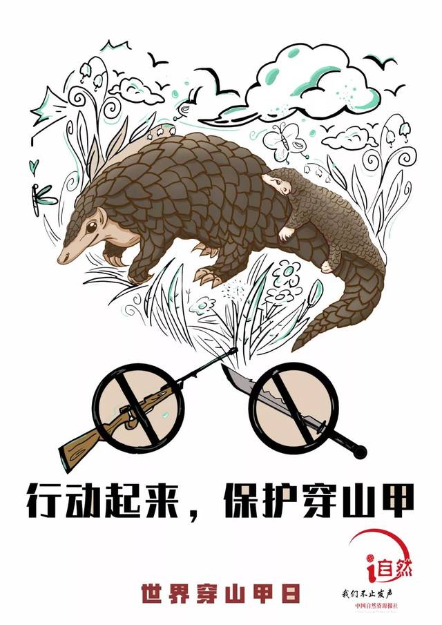保护穿山甲就是保护人类自己