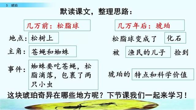 琥珀板书图图片