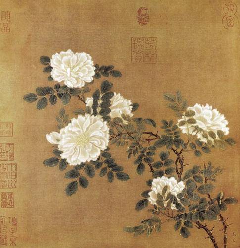 极致宋画一组宋代佚名作品花鸟画欣赏一