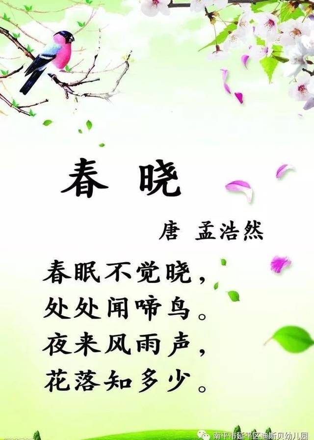 【延期不延学 居家小课堂】day6 一迪斯贝幼儿园线上小课堂