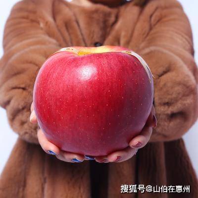 最大的苹果照片图片