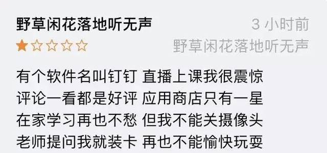 随便一打开小作文式的差评列表 1星 绝笔文案尽在眼前!  同学们!