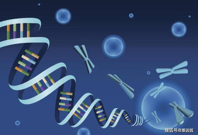 免费视频教程 | 单个基因的生物信息学分析!