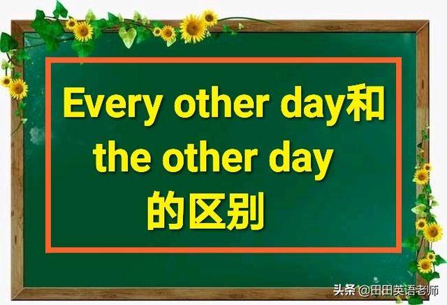 every other后面跟名词单数,常常是其他的每一个…的意思