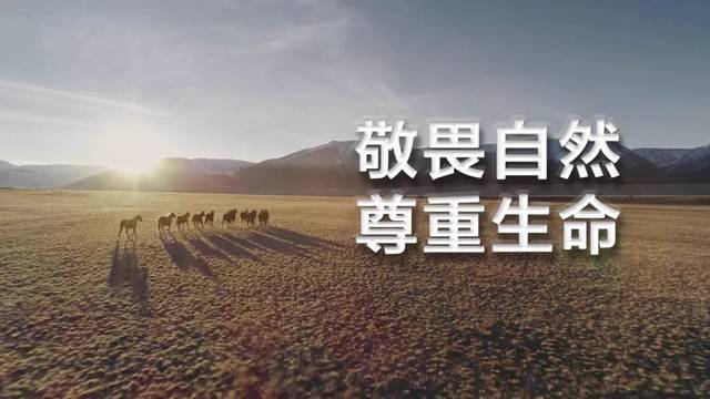 尊重与敬畏的区别,敬畏和敬重有什么区别,尊重和敬仰意思一样吗_大山谷图库