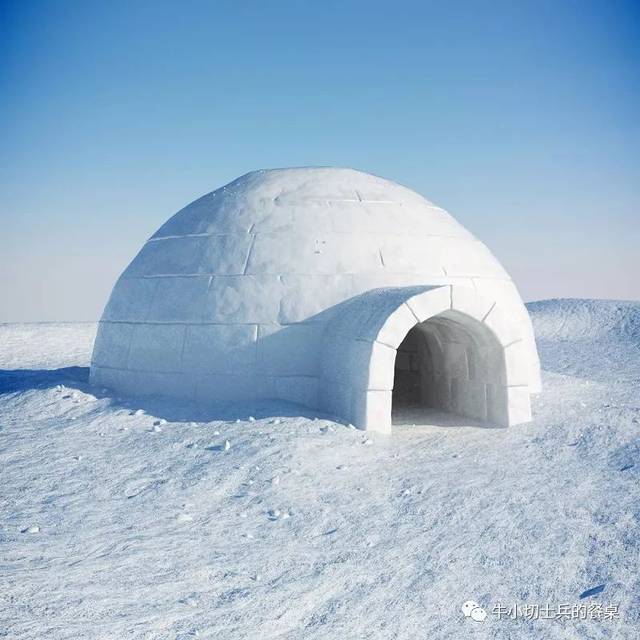 《南极料理人》僵硬圆顶