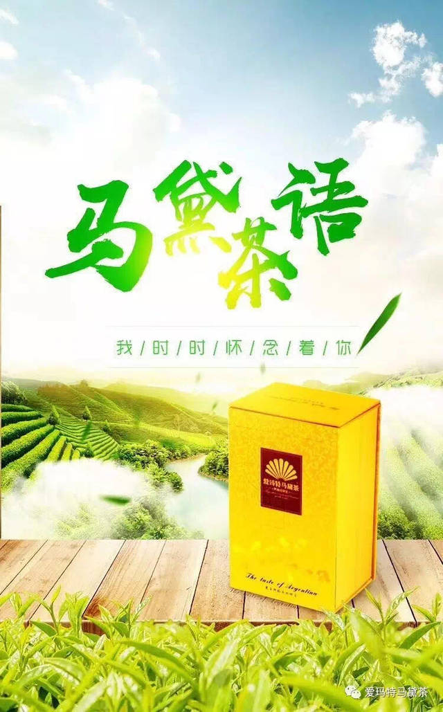 为什么说爱玛特进出口公司才是马黛茶行业的领导者_手机搜狐网