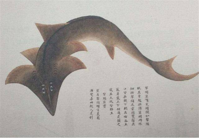 原创故宫里这件画册,画的全是"诡异"的生物,真是越看越可怕